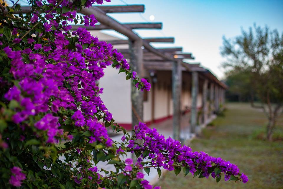 Posada Mboy Cua - Esteros del Iber - Corrientes Argentina