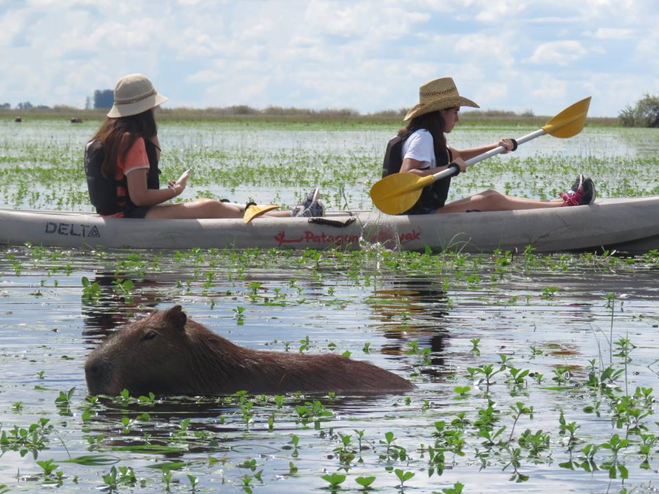 Posada Mboy Cua - Esteros del Iber - Corrientes Argentina