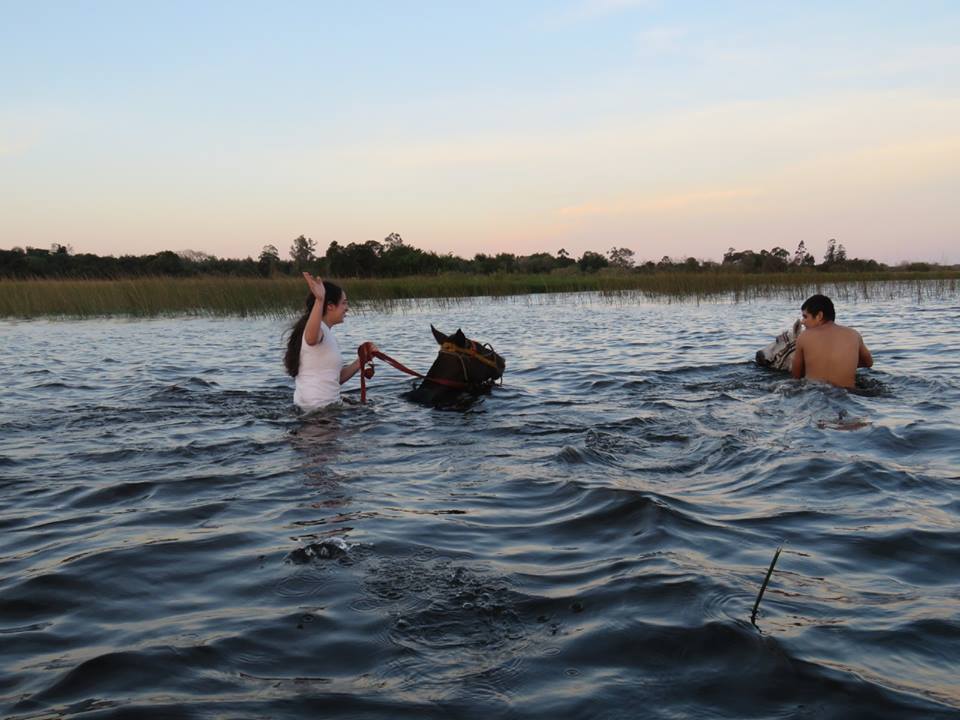 Posada Mboy Cua - Esteros del Iber - Corrientes Argentina