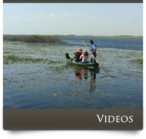 Videos - Posada Mboy Cua - Esteros del Iberá - Corrientes Argentina